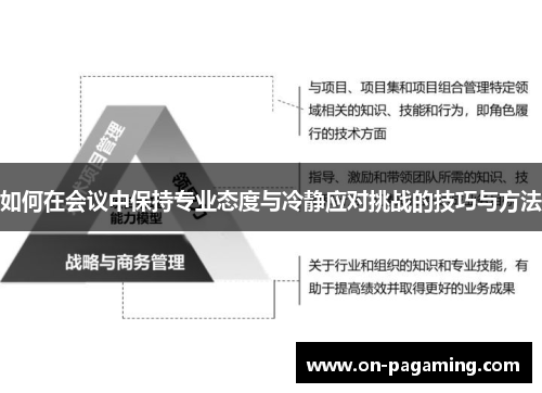 如何在会议中保持专业态度与冷静应对挑战的技巧与方法
