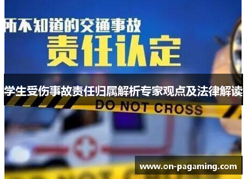 学生受伤事故责任归属解析专家观点及法律解读