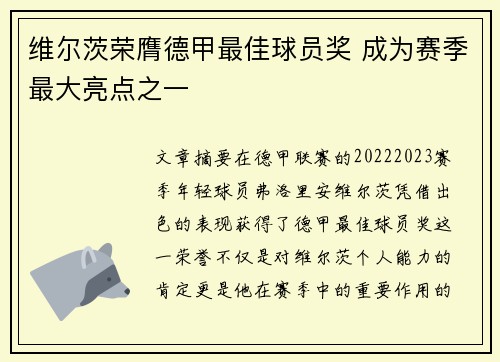 维尔茨荣膺德甲最佳球员奖 成为赛季最大亮点之一